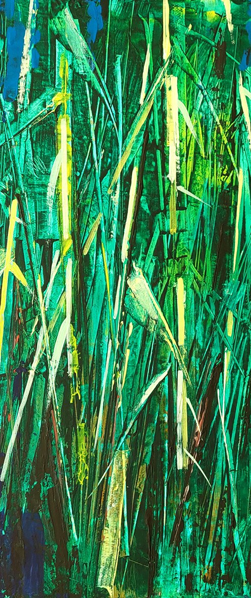 Green Reed by Ovidiu Buzec