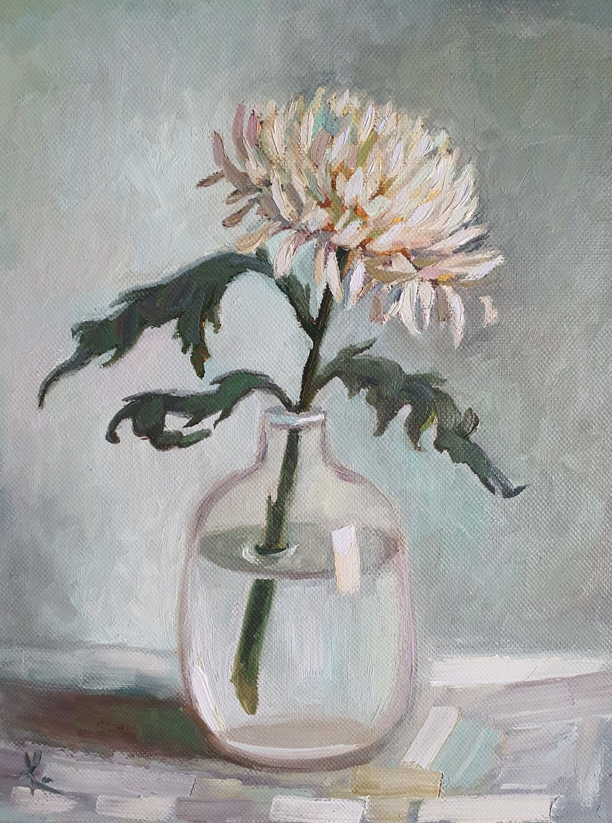 Chrysanthemum by Olena Kolotova