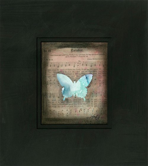 Butterfly Collage 6 by Kathy Morton Stanion