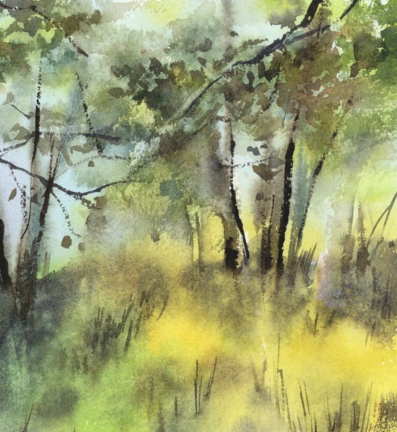 Summer Forest