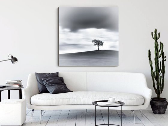 A lone tree on a hill top BW (Studio 2)