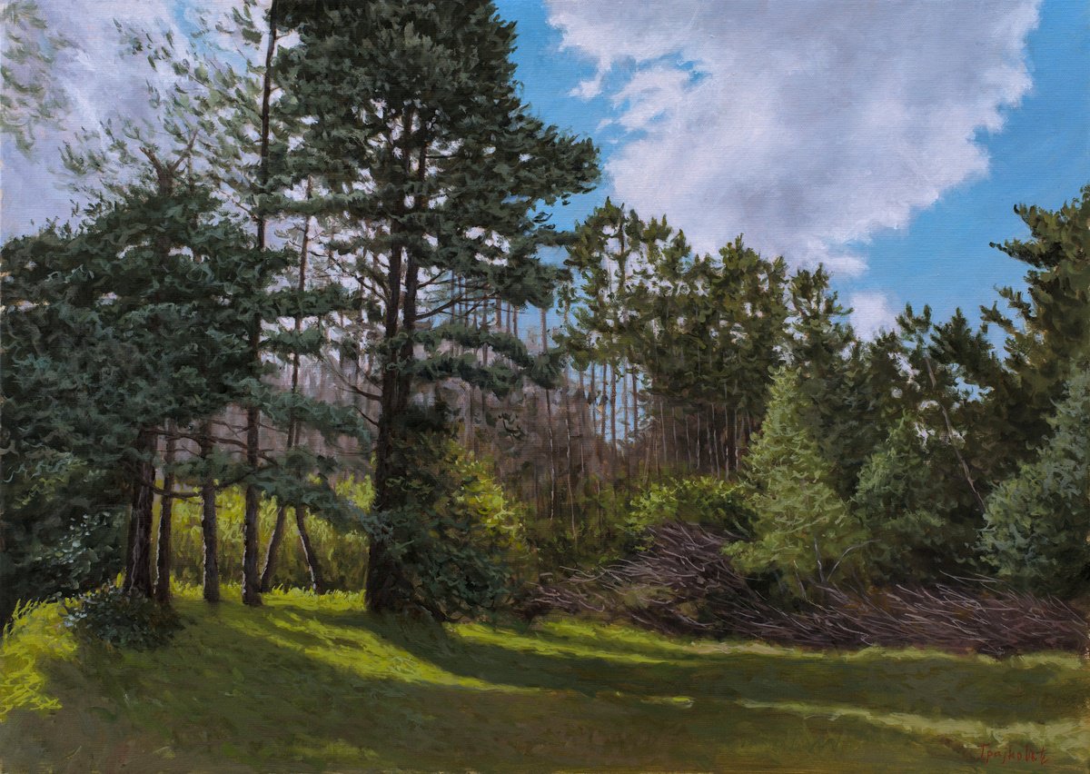 Impressionistic Landscape Oil Painting By Dejan Trajkovic, 33 X 25, Sunny September, Original Artwork