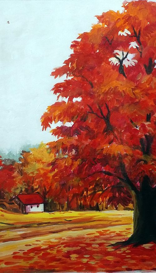 Beauty of Autumn  Forest by Samiran Sarkar
