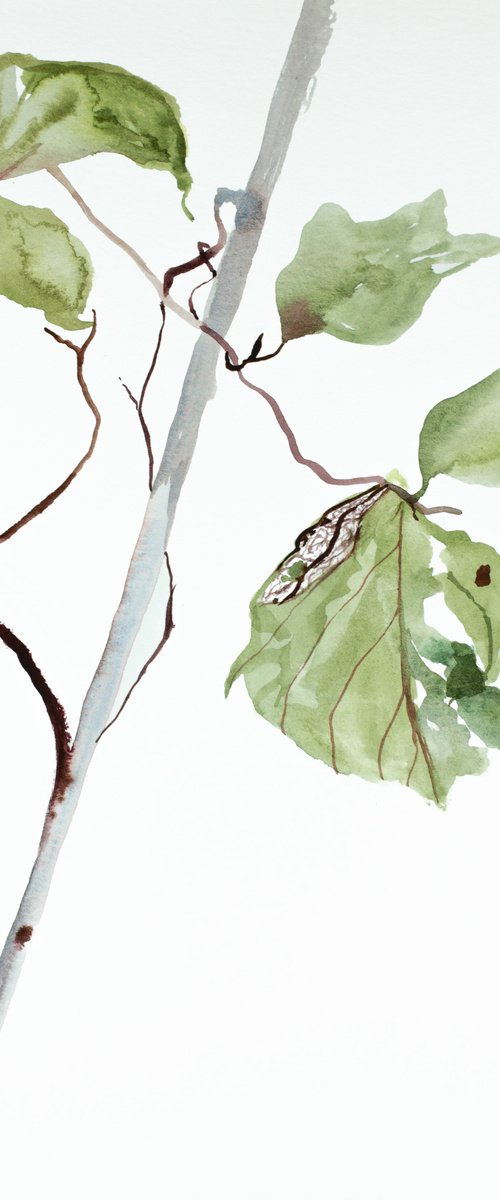 The Woods No. 80 by Elizabeth Becker