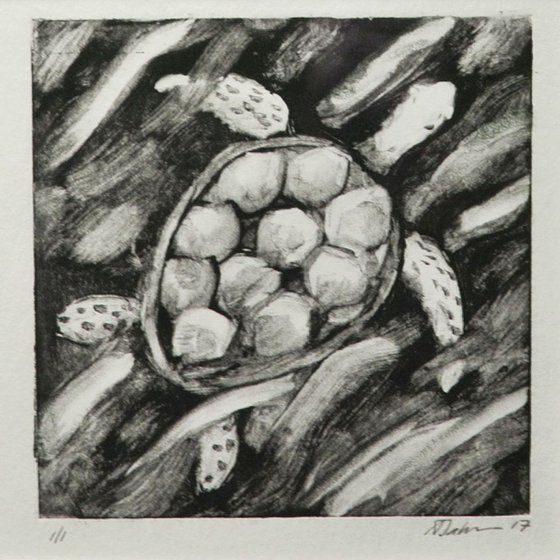 Turtle Swimming Miniature, Print, Framed and Ready to Hang, Monoprint on Paper