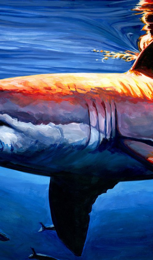 Evening Swim - A Great White Shark by Alex Stutchbury