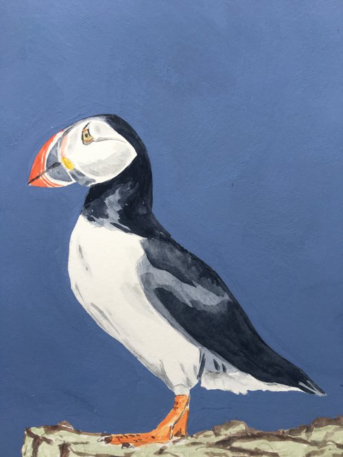 Puffin #4 by Laurence Wheeler