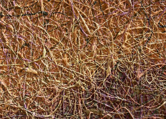 Waves of Tender Light