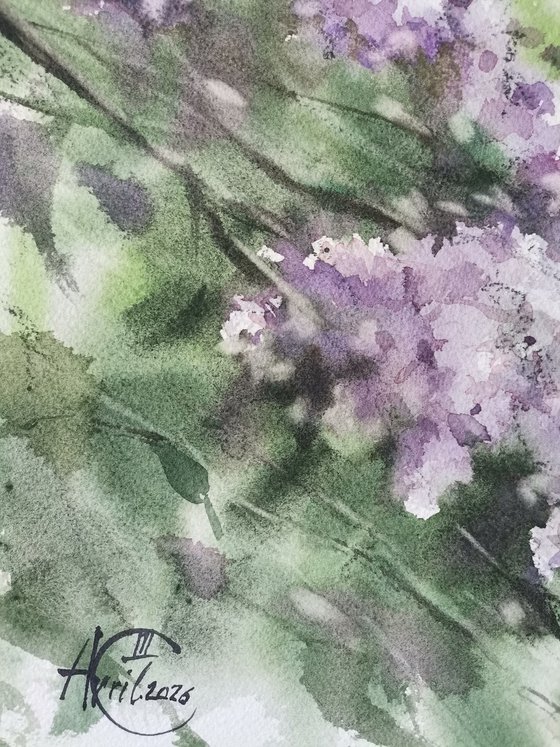 Wind in the lilac bushes