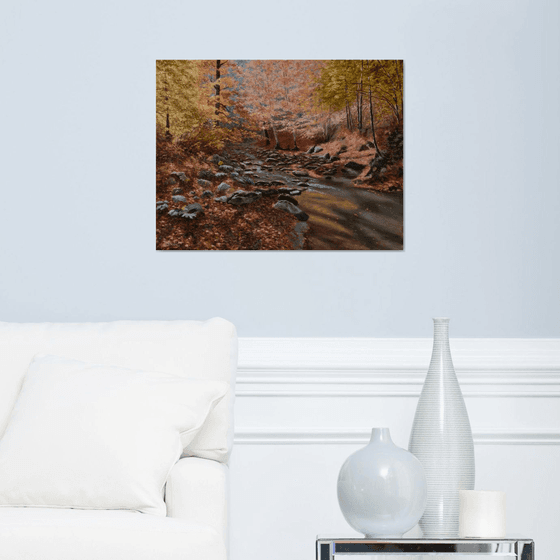 Sunny Autumn in the Forest