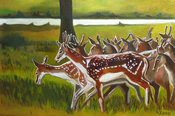 Deers, Original Oil Painting by Anne Zamo