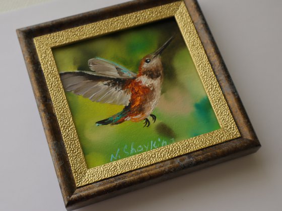 Vibrant Hummingbird Miniature