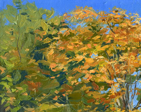 Autumn leaves