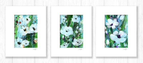 Abstract Floral Collection 5 - 3 Flower Paintings in mats by Kathy Morton Stanion