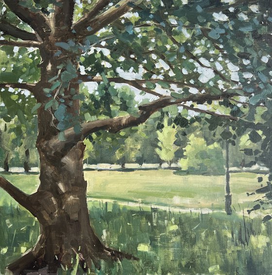 Tree on Clapham Common