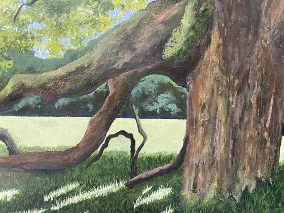 Dance of the Mighty Oak