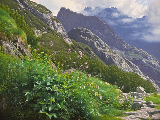 Summer in the mountains