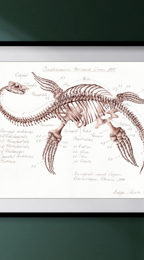 CIMOLIOSAURUS BERNARDI, Plesiosaurus from Ukraine by Katya Shiova