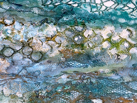 Beneath the Sea Shallows