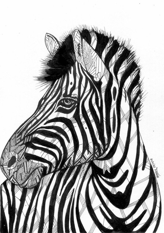 Zebra