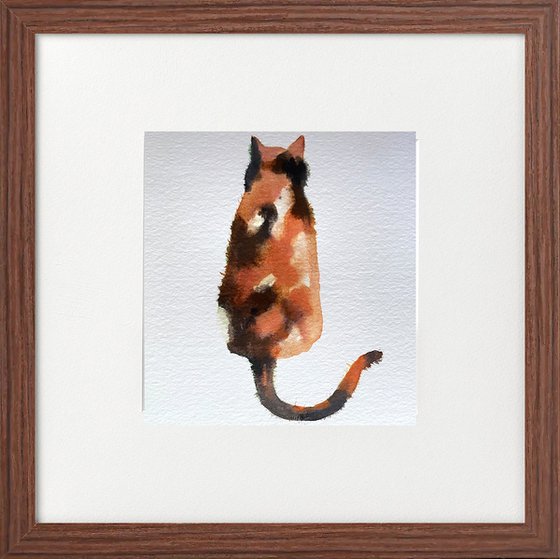 Tortoiseshell Cat behind