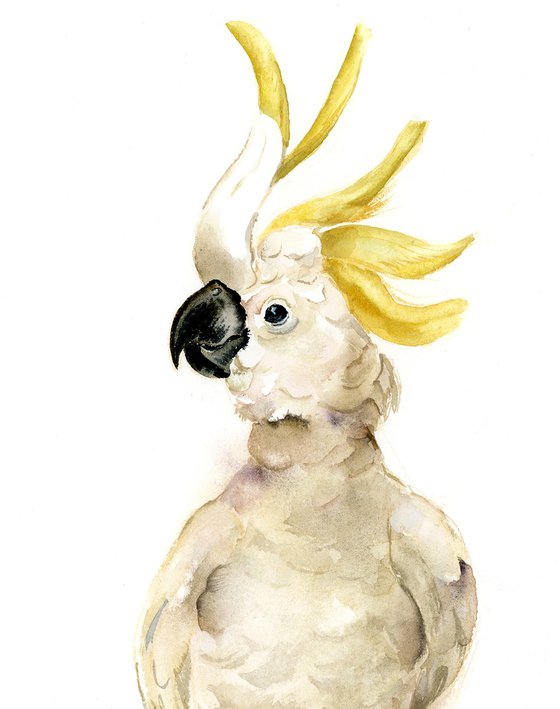 White Cockatoo - Watercolor Parrot Painting
