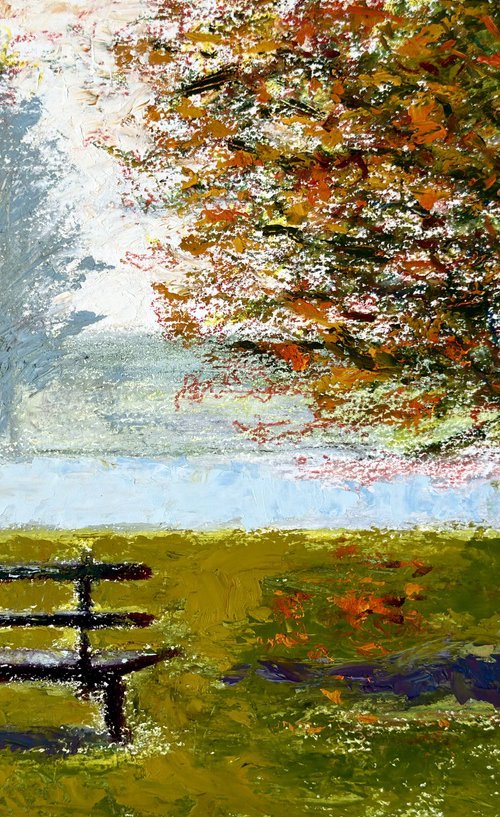 Park Bench in Autumn by Uma  Krishnamoorthy