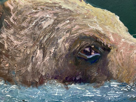 Bear Swimming Study In Oil