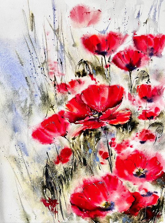 Poppy flowers in watercolor