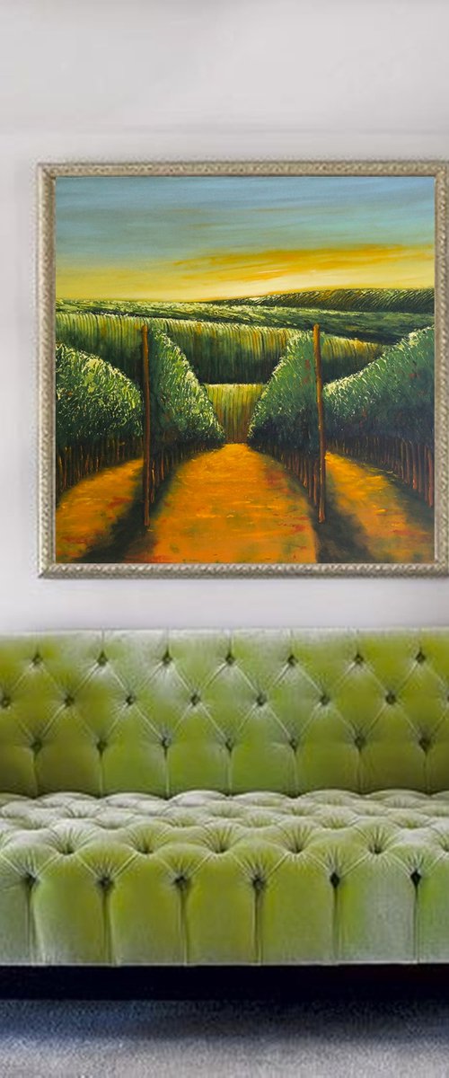 Sunrise over Vineyards -  Fields and Colors Series by Danijela Dan