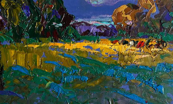 Evening rays of the sun
