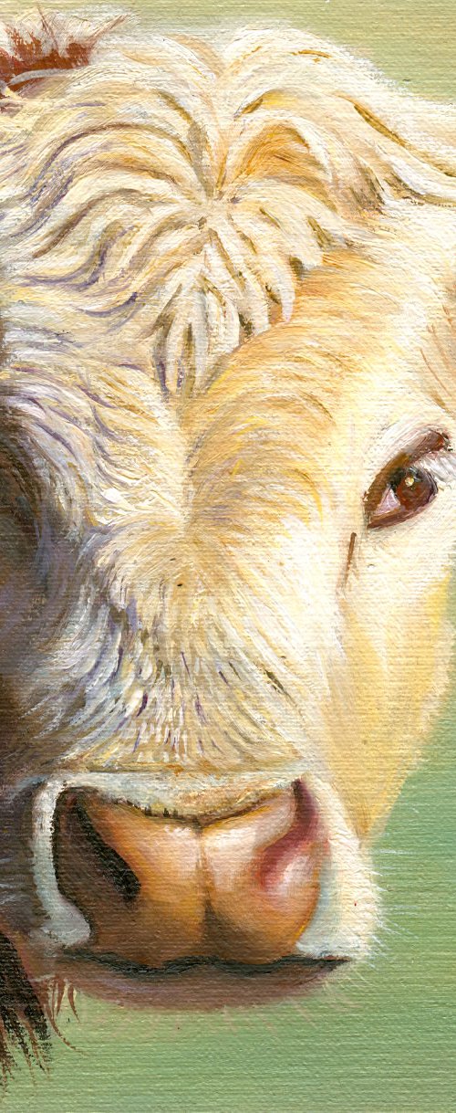Cow by Norma Beatriz Zaro