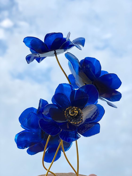 Blue Anemone