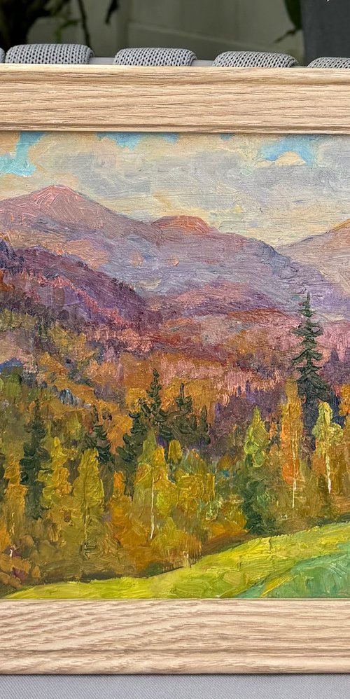 Autumn Colors in the Mountain Valley by Aleksandr Dubrovskyy