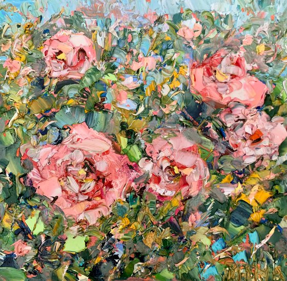 Pink roses