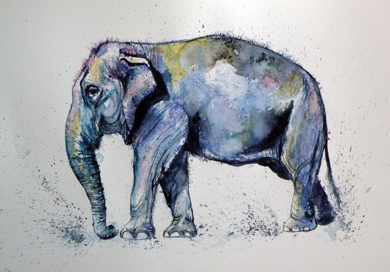 Elephant