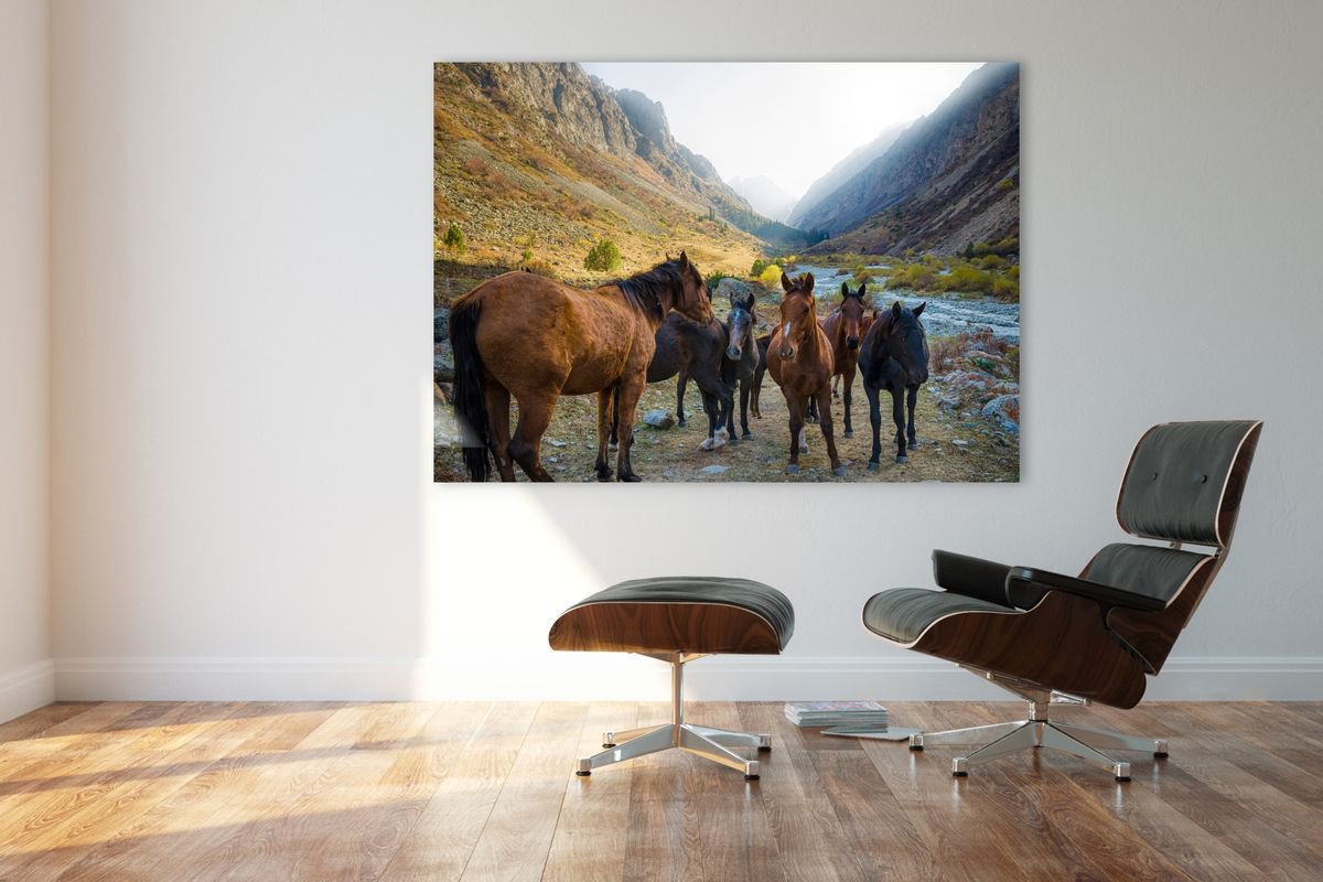 Photorealistic Animal Photograph By Serge Horta, 39 X 28", Wild Horses Of Kz Metal Print, Original Artwork