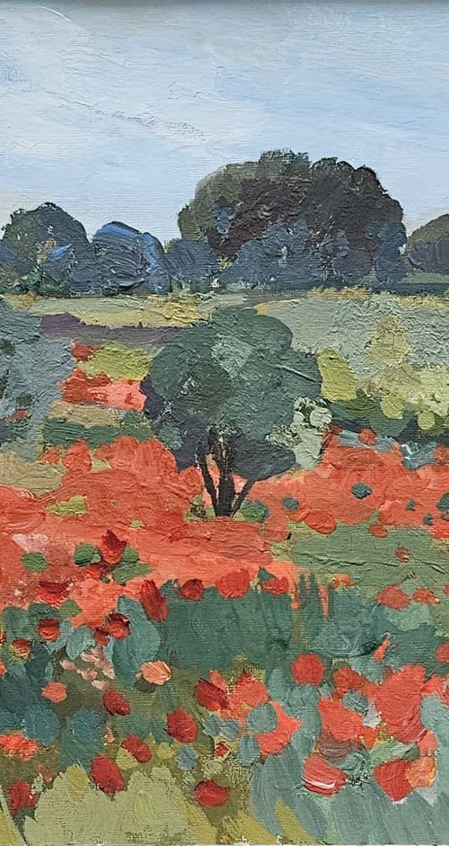 Poppies of Languedoc. French Landscape by Tatiana Hellum