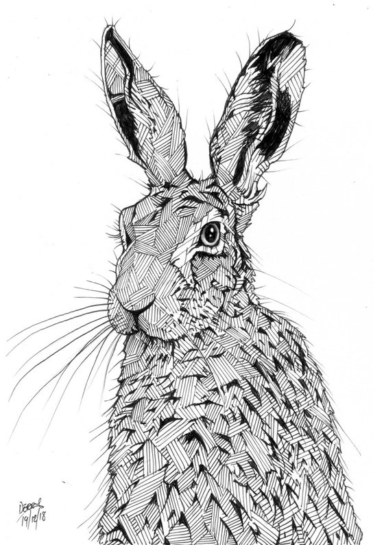 Hare