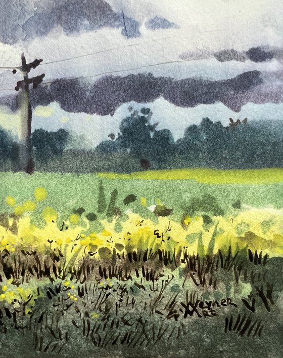 Rapeseed field. Bavaria.