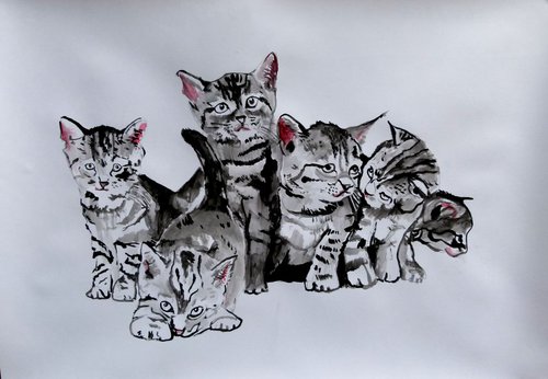 cats by Soso Kumsiashvili