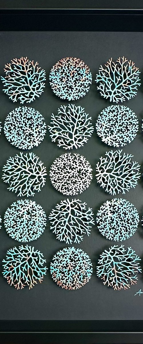 Corallium by Amanda Deadman