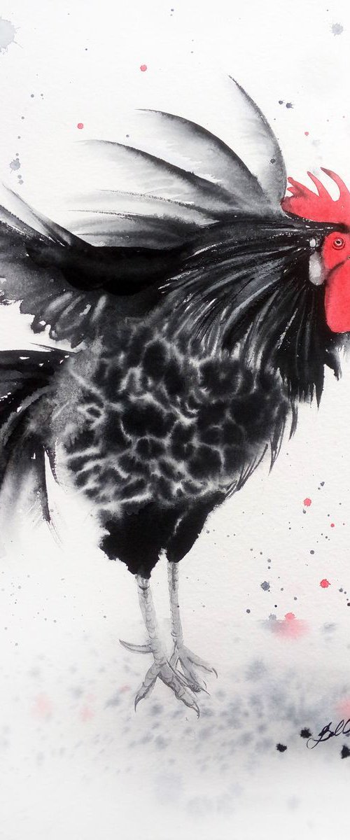 Black Ruffled Rooster by Olga Beliaeva Watercolour