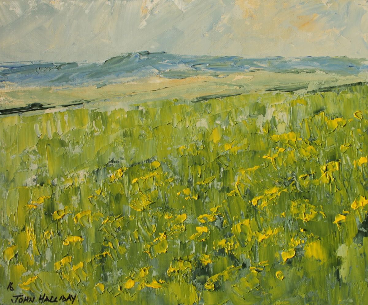 Meadowlands by John Halliday
