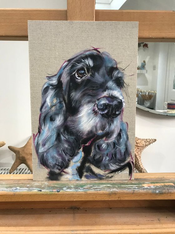 Blue - Cocker Spaniel original oil painting 12x8"