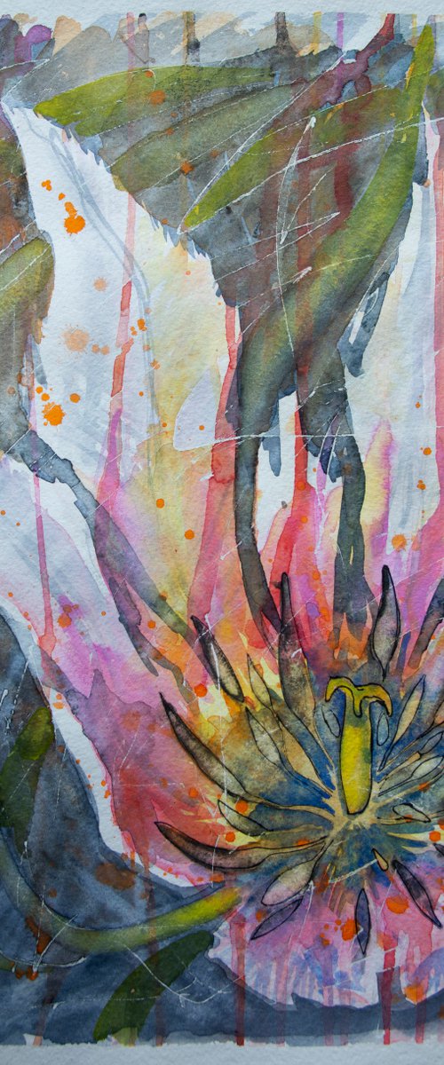 Fading pink tulip-floral watercolor painting for the interior of the office and home. by BEYBUKA