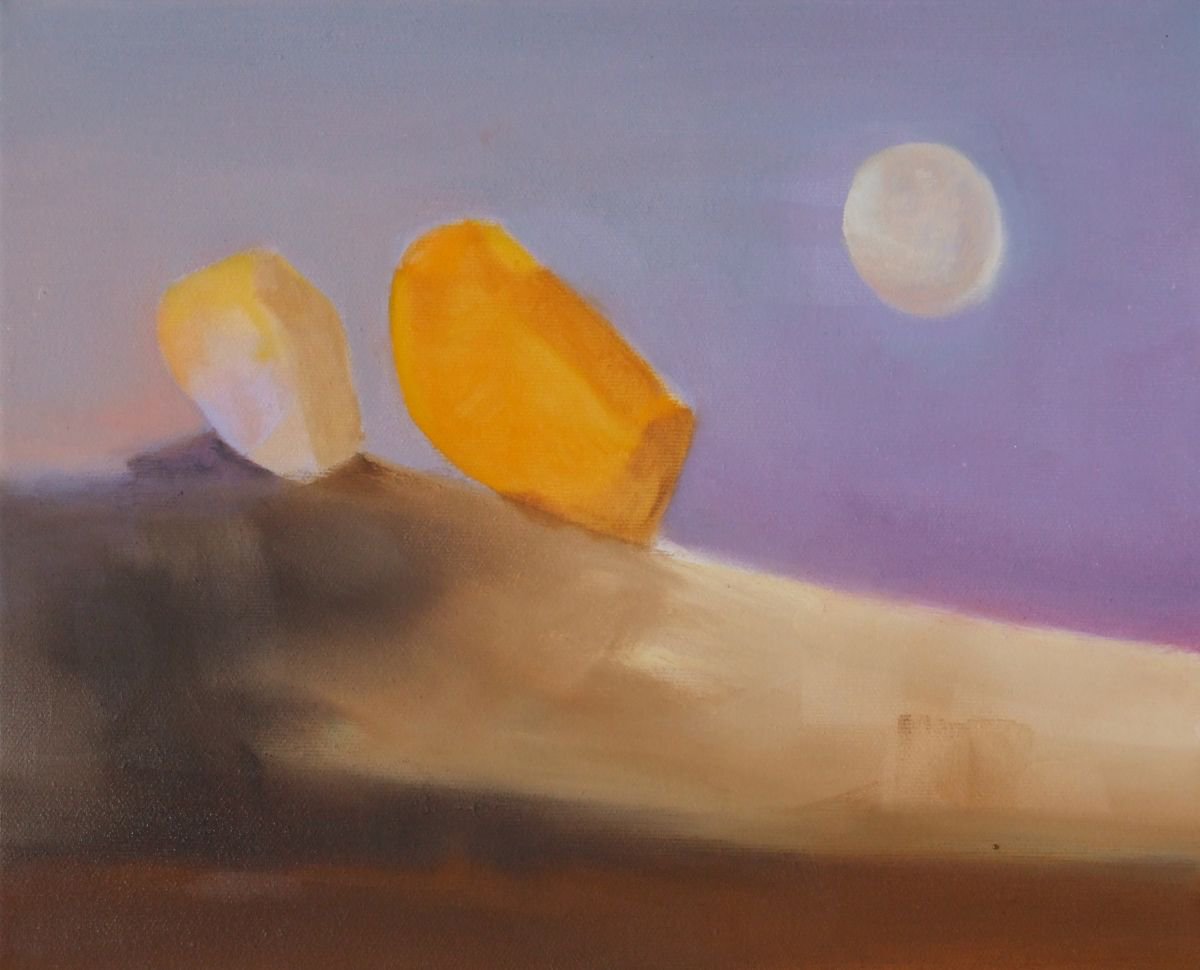 White Desert 1 by Marta Zamarska