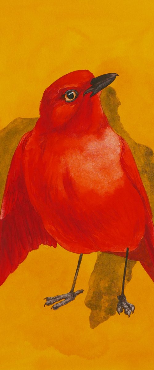 Red Blackbird by Karina Danylchuk