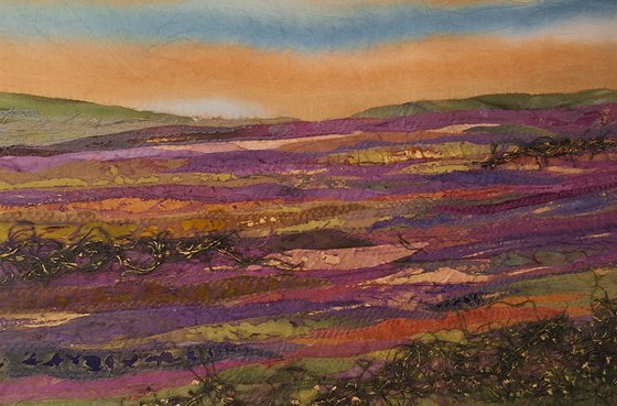 Gorse on the Moor