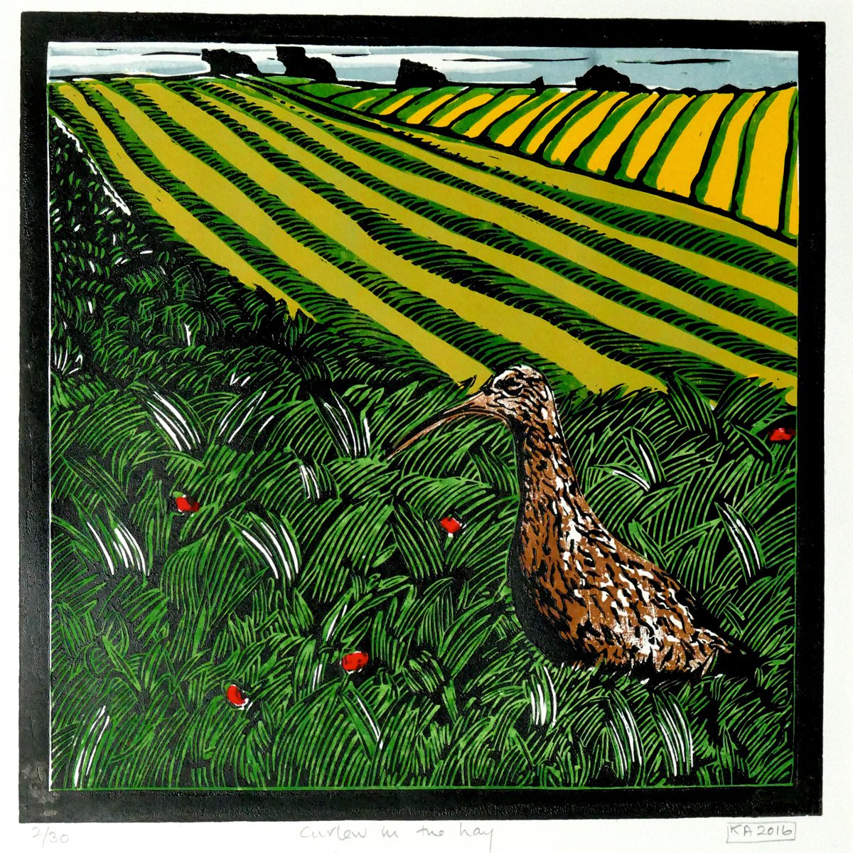 Curlew in the Hay by Keith Alexander